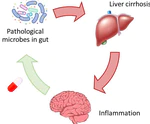 Microbiome